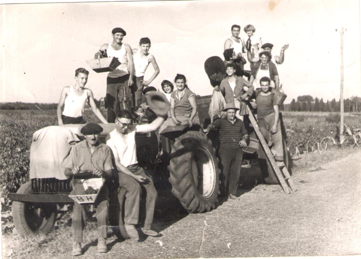 Vendanges anciennes au Château Le Coteau