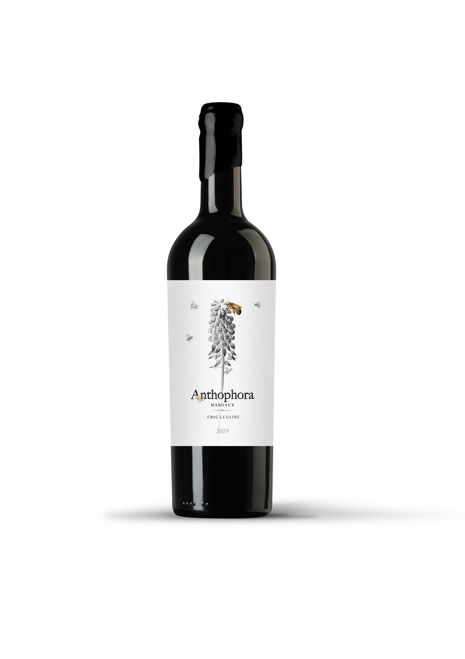 Anthophora 2019